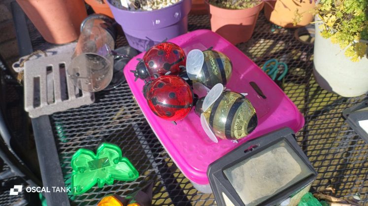 Защищённый смартфон Blackview Oscal TANK 1 | DGL.RU