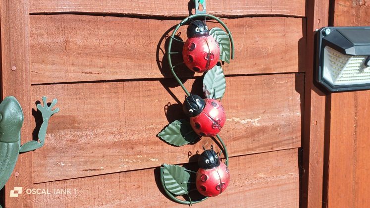 Защищённый смартфон Blackview Oscal TANK 1 | DGL.RU