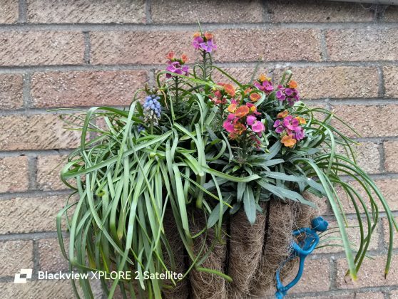 Защищённый смартфон Blackview Xplore 2 Satellite | DGL.RU