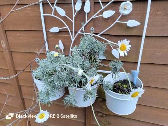 Защищённый смартфон Blackview Xplore 2 Satellite | DGL.RU