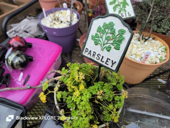 Защищённый смартфон Blackview Xplore 2 Satellite | DGL.RU