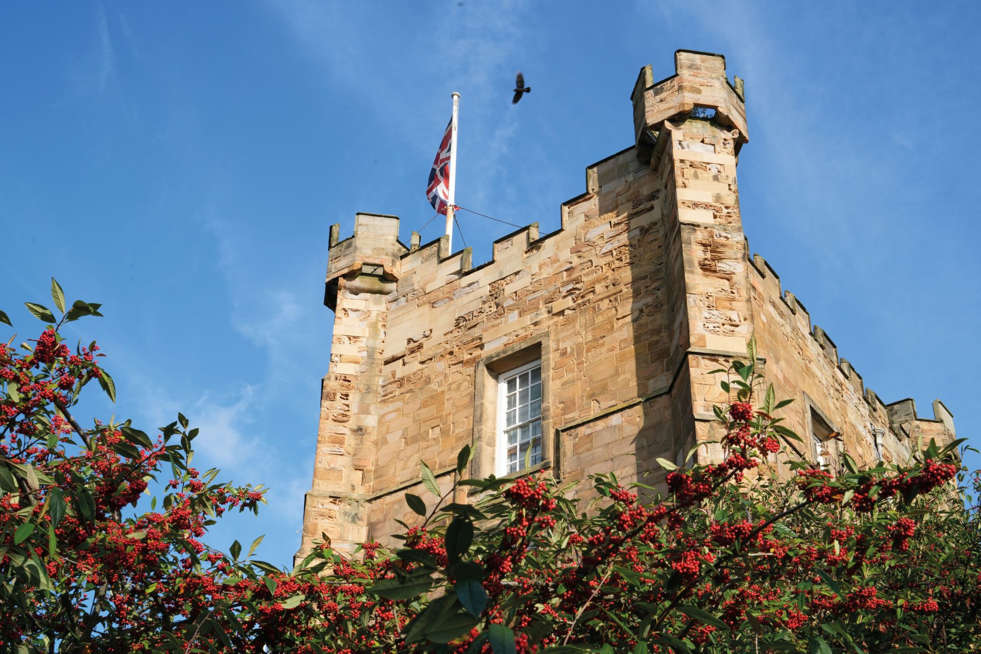 Обзор Sony A7CR — компактная камера с сенсором на 61 Мп картинка Sony A7CR