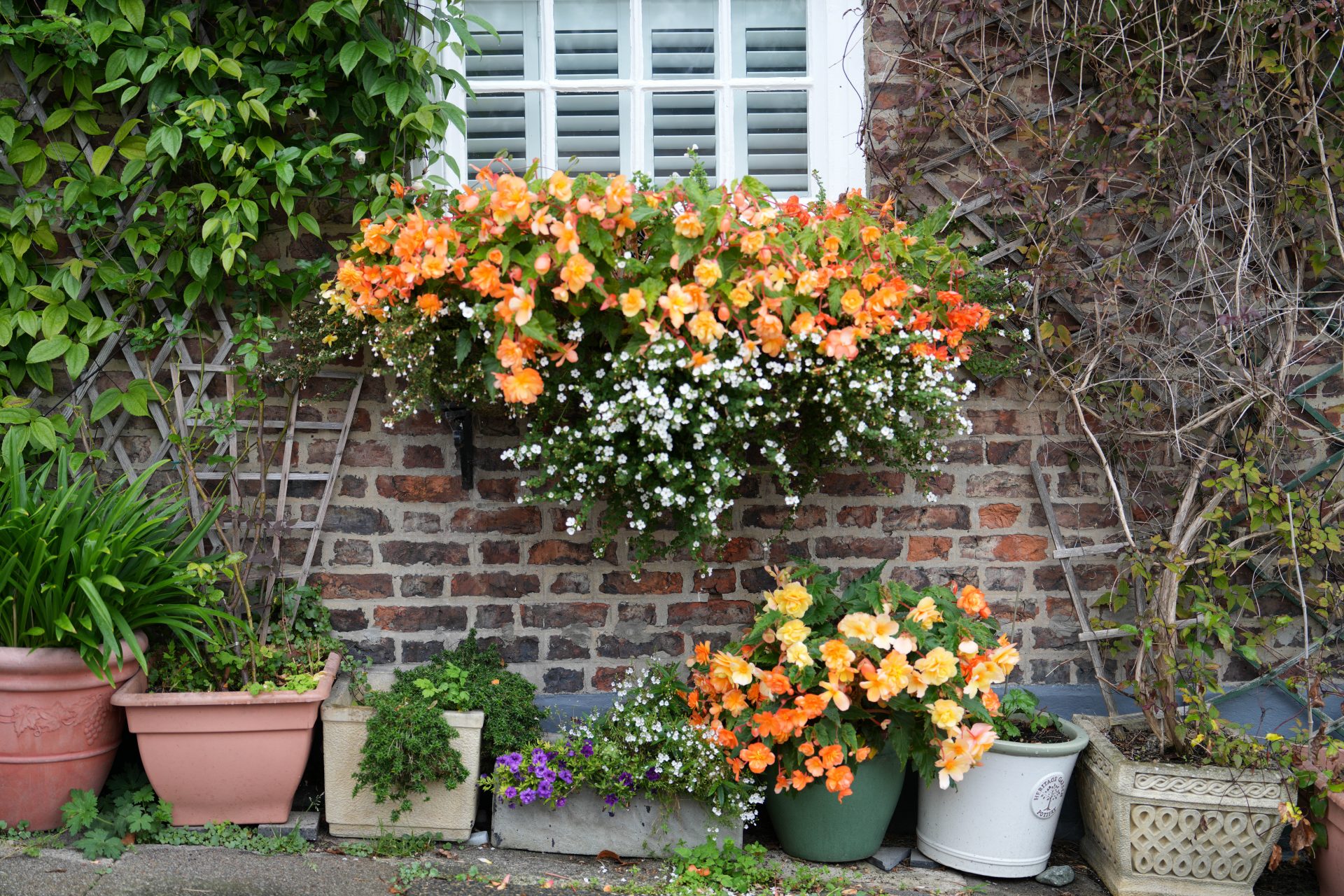 Обзор Sony A7CR — компактная камера с сенсором на 61 Мп картинка Sony A7CR