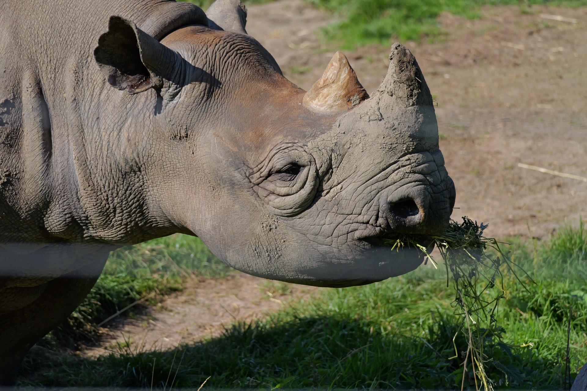 Обзор Panasonic Lumix G9 II — новый гибридный MFT-флагман картинка Panasonic Lumix G9 II