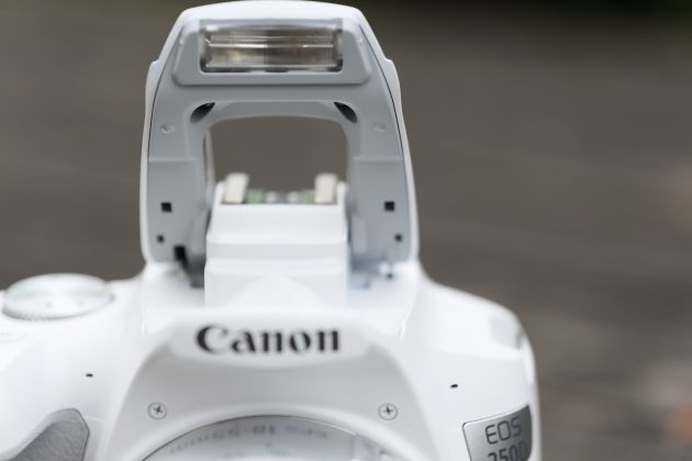 Canon EOS 250D