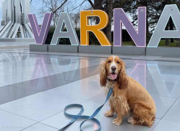 S26 Ultra: как нейросети превращают ваши фото в шедевры за секунду