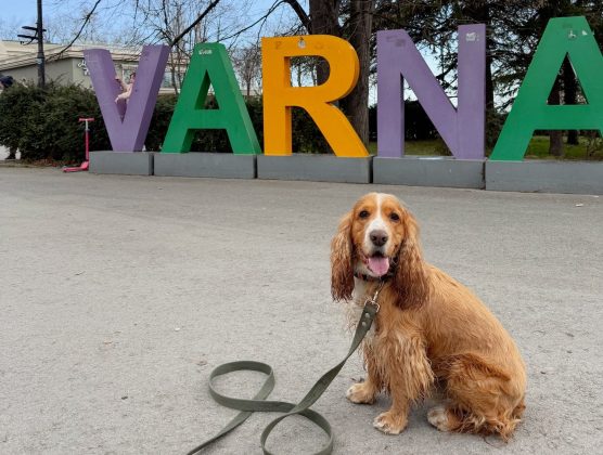 S26 Ultra: как нейросети превращают ваши фото в шедевры за секунду