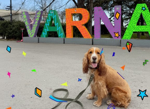 S26 Ultra: как нейросети превращают ваши фото в шедевры за секунду