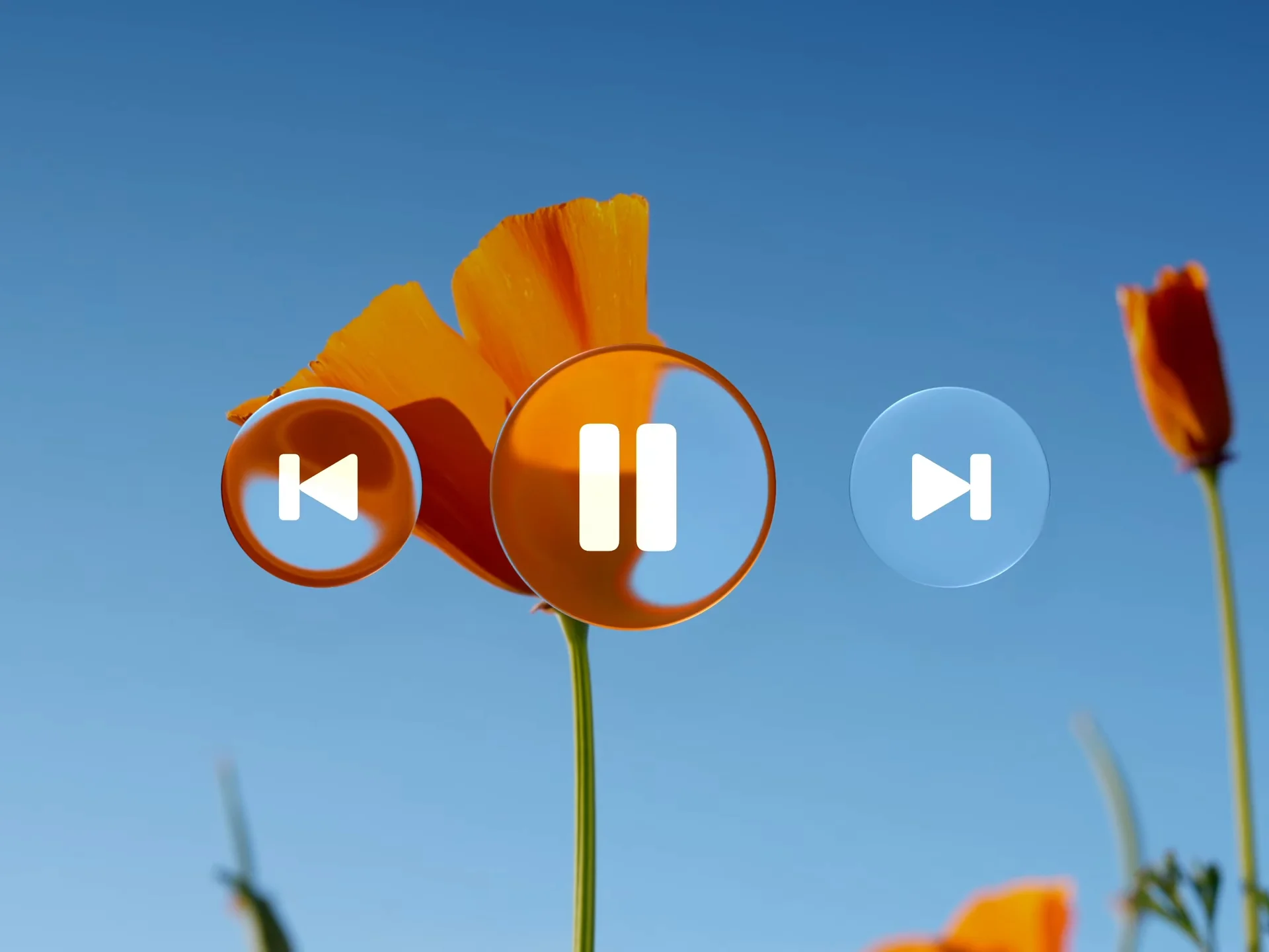 Зачем принудительные обновления меняют дизайн | DGL.RU