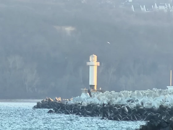 Камеры Galaxy S26 Ultra и iPhone 17 Pro Max | DGL.RU