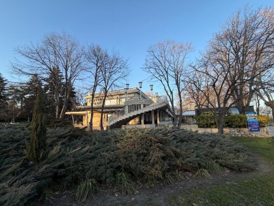 Камеры Galaxy S26 Ultra и iPhone 17 Pro Max | DGL.RU