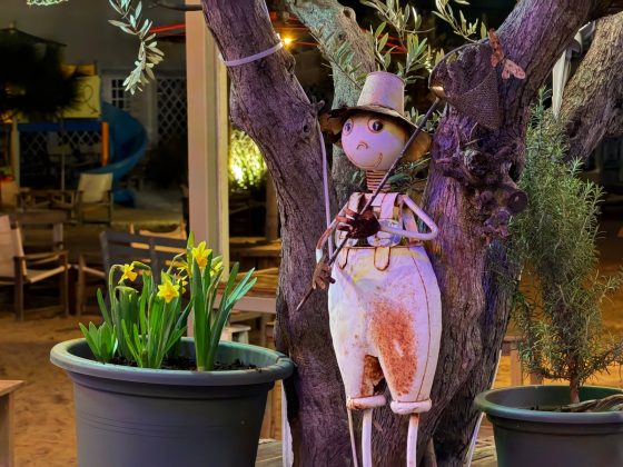 Камеры Galaxy S26 Ultra и iPhone 17 Pro Max | DGL.RU