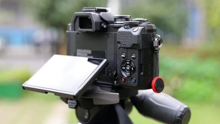 Canon EOS R10 - камера для начинающих в 2026 | DGL.RU