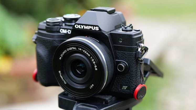 Canon EOS R10 - камера для начинающих в 2026 | DGL.RU