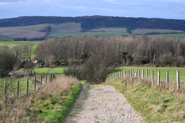 Canon EOS R10 - камера для начинающих в 2026 | DGL.RU