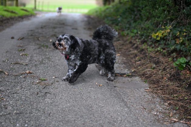 Canon EOS R10 - камера для начинающих в 2026 | DGL.RU