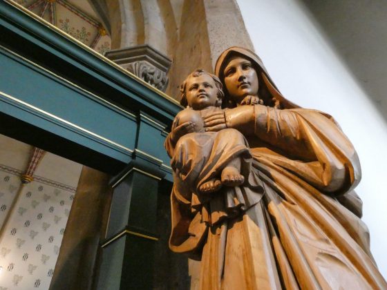 Canon EOS R10 - камера для начинающих в 2026 | DGL.RU