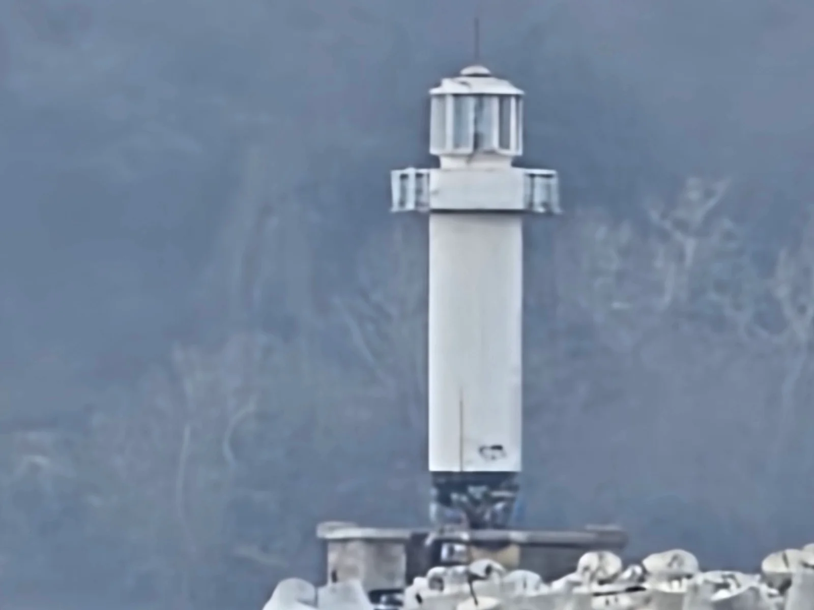 Камерная битва китайцев и корейцев: Vivo X300 Pro против Galaxy S26 Ultra в российских реалиях картинка Vivo X300 Pro и Galaxy S26 Ultra: битва камер | DGL.RU