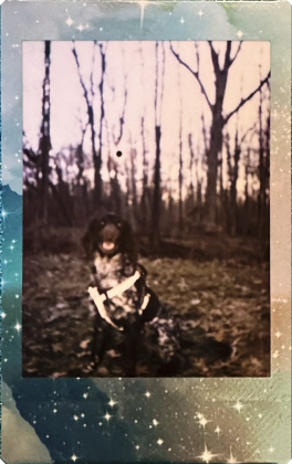 Фотоаппарат Fujifilm Instax Mini 13 | DGL.RU