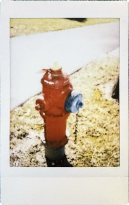 Фотоаппарат Fujifilm Instax Mini 13 | DGL.RU