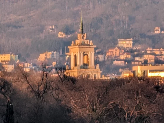 Galaxy S26 Ultra и Pixel 10 Pro XL: битва камер | DGL.RU