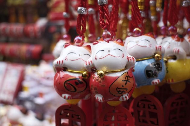 Камера Fujifilm X-T30 III с новым объективом | DGL.RU