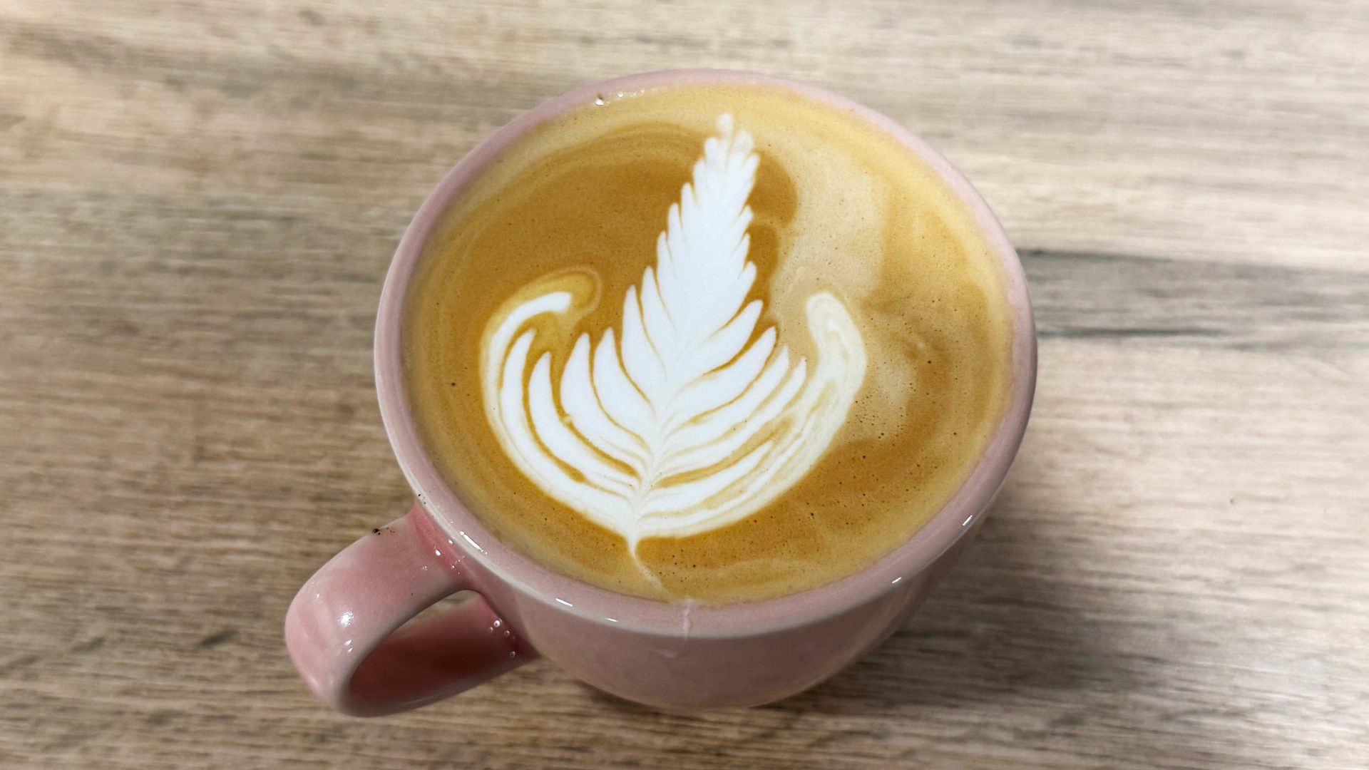 Кофемашина Cuisinart Grind Tamp Brew | DGL.RU