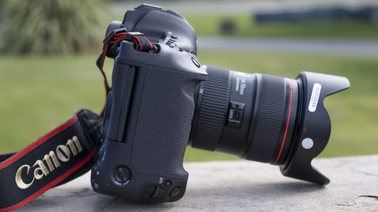 Nikon D780 и зеркальные фотокамеры 2026 | DGL.RU