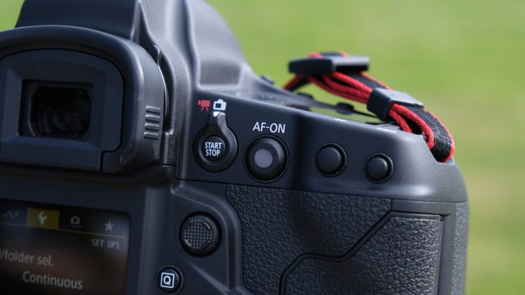 Nikon D780 и зеркальные фотокамеры 2026 | DGL.RU