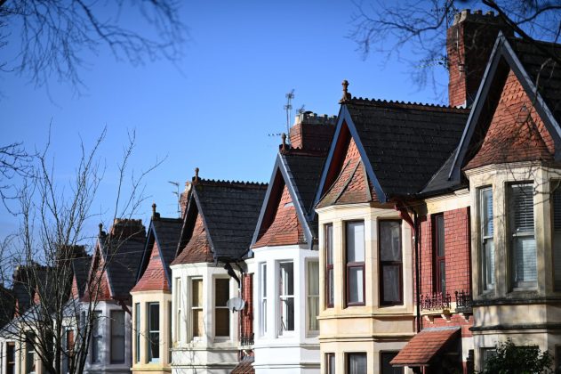 Nikon D780 и зеркальные фотокамеры 2026 | DGL.RU