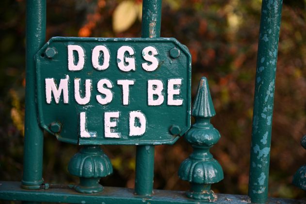 Nikon D780 и зеркальные фотокамеры 2026 | DGL.RU