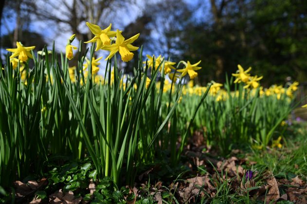 Nikon D780 и зеркальные фотокамеры 2026 | DGL.RU