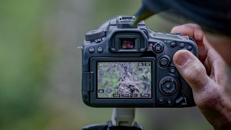 Nikon D780 и зеркальные фотокамеры 2026 | DGL.RU