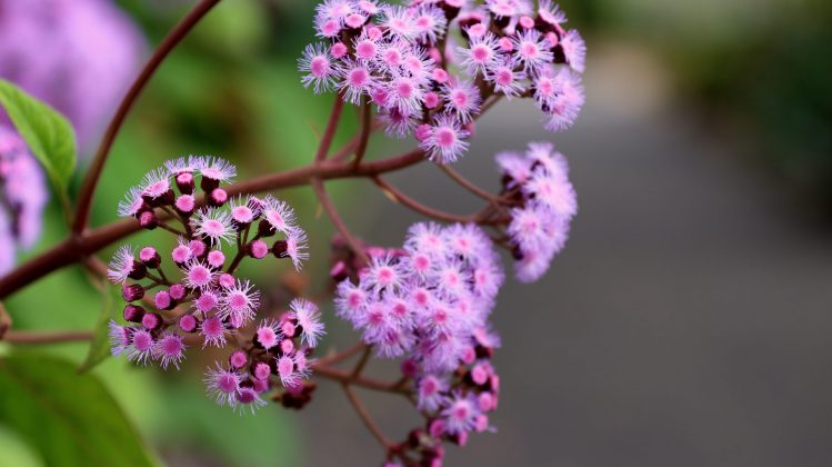 Nikon D780 и зеркальные фотокамеры 2026 | DGL.RU