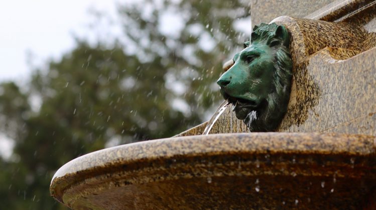 Nikon D780 и зеркальные фотокамеры 2026 | DGL.RU