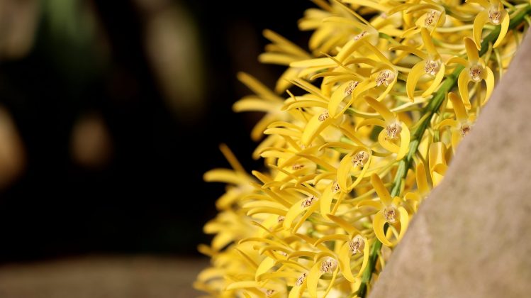 Nikon D780 и зеркальные фотокамеры 2026 | DGL.RU