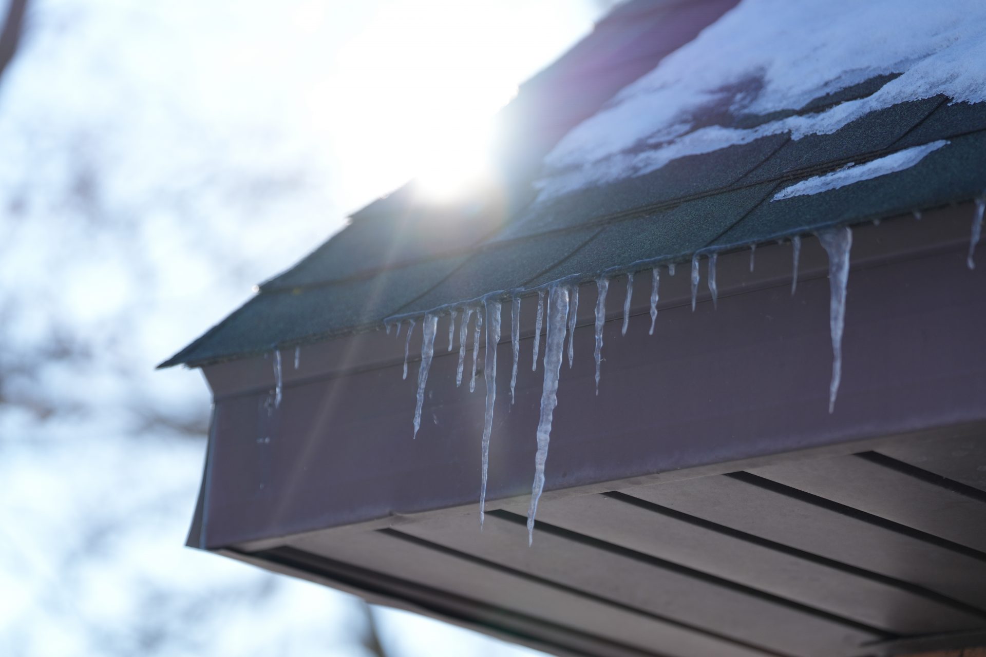 Обзор Sony 70-200mm f/2.8 GM OSS II: легкая «рабочая лошадка» картинка Объектив Sony FE 70-200mm f/2.8 GM OSS II | DGL.RU