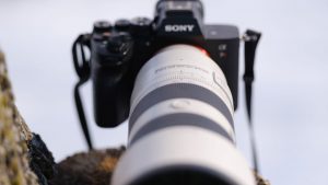 Обзор Sony 70-200mm f/2.8 GM OSS II: легкая «рабочая лошадка»