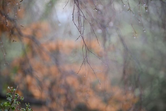 Объектив Viltrox 85mm f/1.4 Pro: портретная оптика | DGL.RU