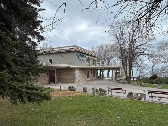 Смартфон iPhone 17e: честный обзор камеры | DGL.RU