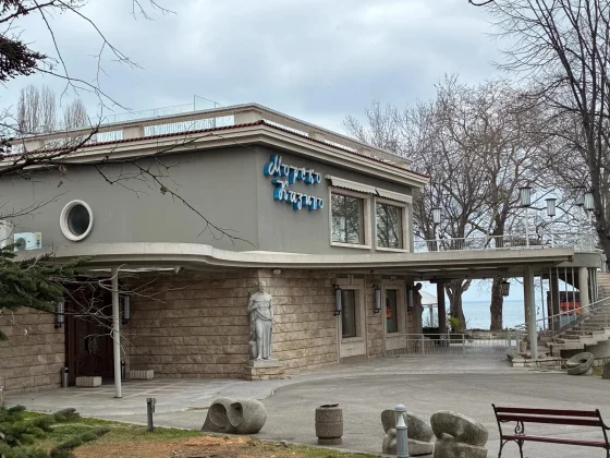 Смартфон iPhone 17e: честный обзор камеры | DGL.RU