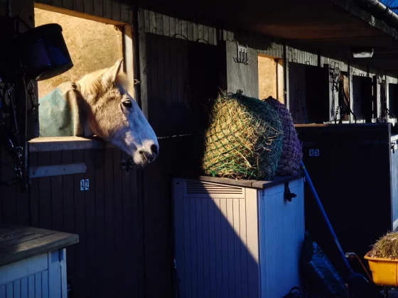 Oppo Find N6 &mdash; лучшая раскладушка 2026 года | DGL.RU