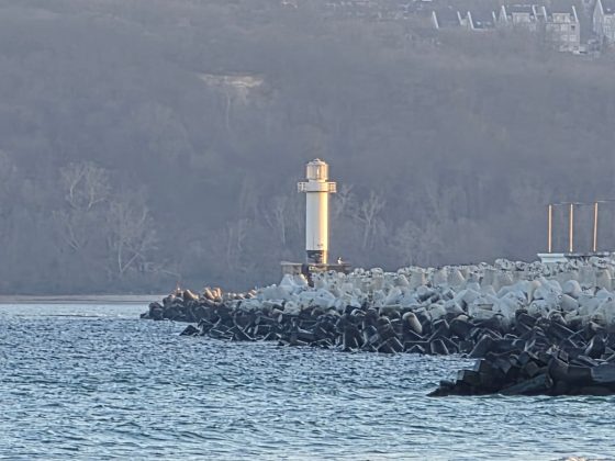 Galaxy S26 Ultra и OnePlus 15: сравнение камер | DGL.RU