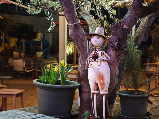 Galaxy S26 Ultra и OnePlus 15: сравнение камер | DGL.RU