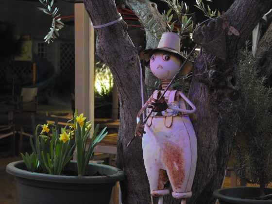 Galaxy S26 Ultra и OnePlus 15: сравнение камер | DGL.RU