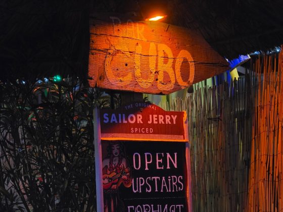 Galaxy S26 Ultra и OnePlus 15: сравнение камер | DGL.RU