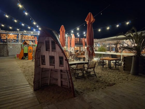 Galaxy S26 Ultra и OnePlus 15: сравнение камер | DGL.RU