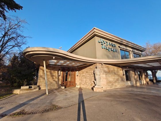 Galaxy S26 Ultra и OnePlus 15: сравнение камер | DGL.RU