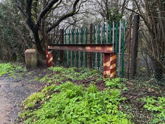 Смартфон Apple iPhone 17e &mdash; компактный выбор | DGL.RU