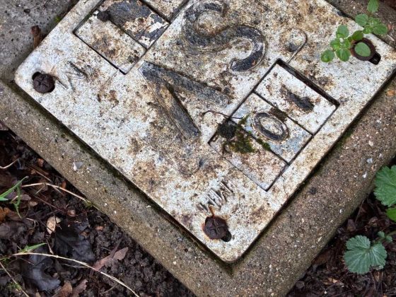 Смартфон Apple iPhone 17e &mdash; компактный выбор | DGL.RU